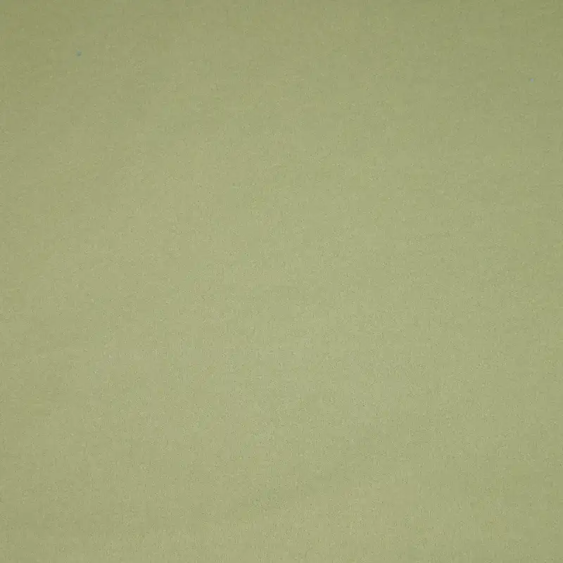 China Fabric for Jackets,Hoodie,Loungewear Double-side fleece Knit Fabric Polyester Spandex green color buy from China wholesaler bulk order at wholesale price free worldwide shipping Alibaba