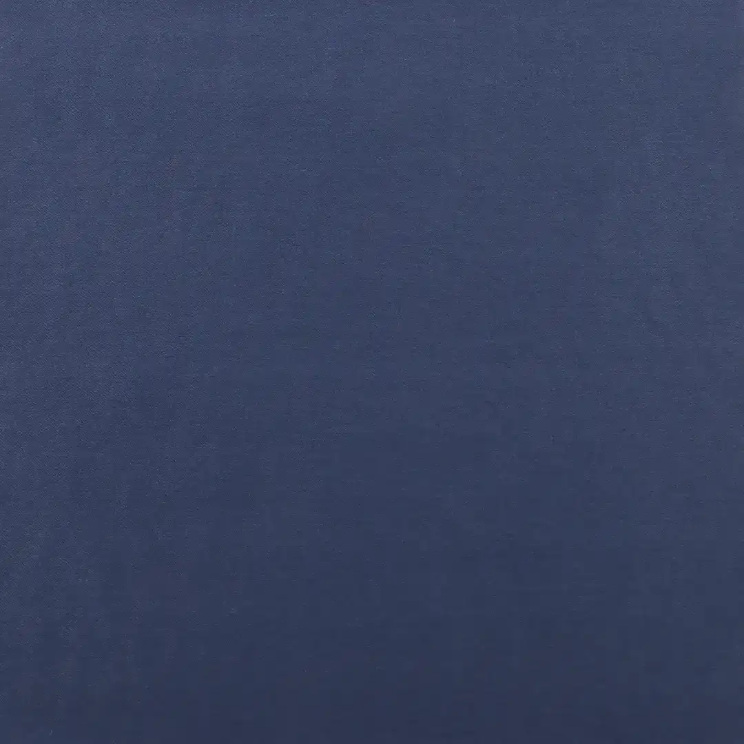China Fabric for Jackets Nylon/Polyester Chameleon Woven Blended Fabric Polyester Polyamide blue color buy from China wholesaler bulk order at wholesale price free worldwide shipping Alibaba