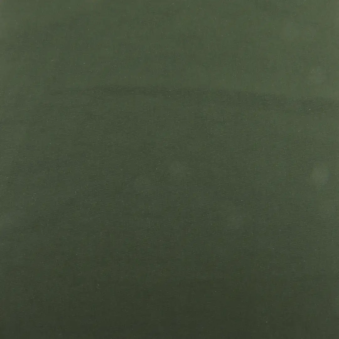 China Fabric for Pants,Jogger Polyester Mountaineering Fabric Synthetic Woven Fabric Polyamide Elastane green color buy from China wholesaler bulk order at wholesale price free worldwide shipping Alibaba