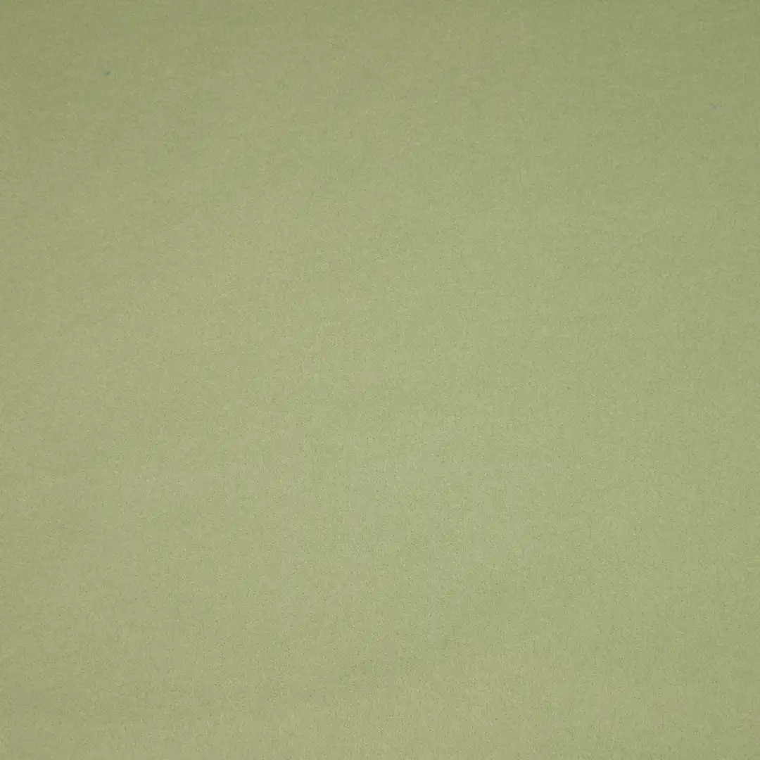 China Fabric for Jackets,Hoodie,Loungewear Double-side fleece Knit Fabric Polyester Spandex green color buy from China wholesaler bulk order at wholesale price free worldwide shipping Alibaba
