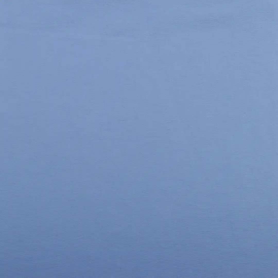 China Fabric for Pants,Jackets,Shorts,Jogger,Trench Coat,Down Jacket,Padded Jacket Nylon Taslon Synthetic Woven Fabric Nylon BLUE color buy from China wholesaler bulk order at wholesale price free worldwide shipping Alibaba