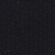 China Fabric for Polo Shirt,Blouse,Crop Top,Skirt Raw Polyester Taslon Raw Fabric Polyester BLACK color buy from China wholesaler bulk order at wholesale price free worldwide shipping Alibaba