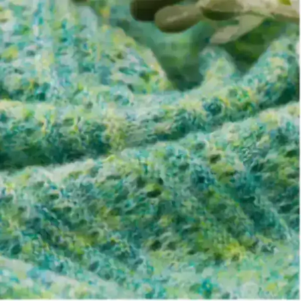 China Yarn for Half-Zipper Cardigan (Sweater),Knitted Jacket (Sweater),Knitted Trousers (Sweater) Air Spun Yarn Fancy Yarn Acrylic Polyester Wool green、grey，black color buy from China wholesaler bulk order at wholesale price free worldwide shipping Alibaba