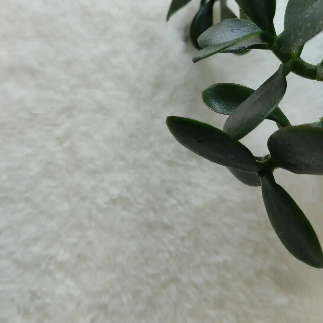 China Yarn for Open Cardigan (Sweater),Round Neck Pullover (Sweater),Crew Neck Pullover (Sweater),Crop Top Pullover (Sweater) Cat Feather Yarn Fancy Yarn Polyester 白色 color buy from China wholesaler bulk order at wholesale price free worldwide shipping Alibaba