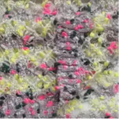 China Yarn for Ladies Vest (Sweater),Round Neck Pullover (Sweater),Women's Pants (Sweater) Knot Yarn Fancy Yarn Nylon Recycled Polyester Colorful color buy from China wholesaler bulk order at wholesale price free worldwide shipping Alibaba