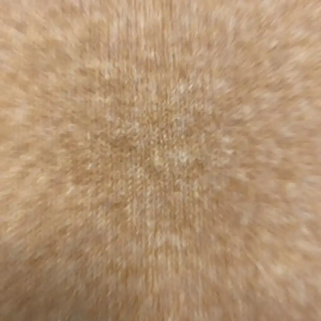 China Yarn for Open Cardigan (Sweater) Mossy Yarn Fancy Yarn Recycled Polyester Polyester Wool Elastane YELLOW color buy from China wholesaler bulk order at wholesale price free worldwide shipping Alibaba