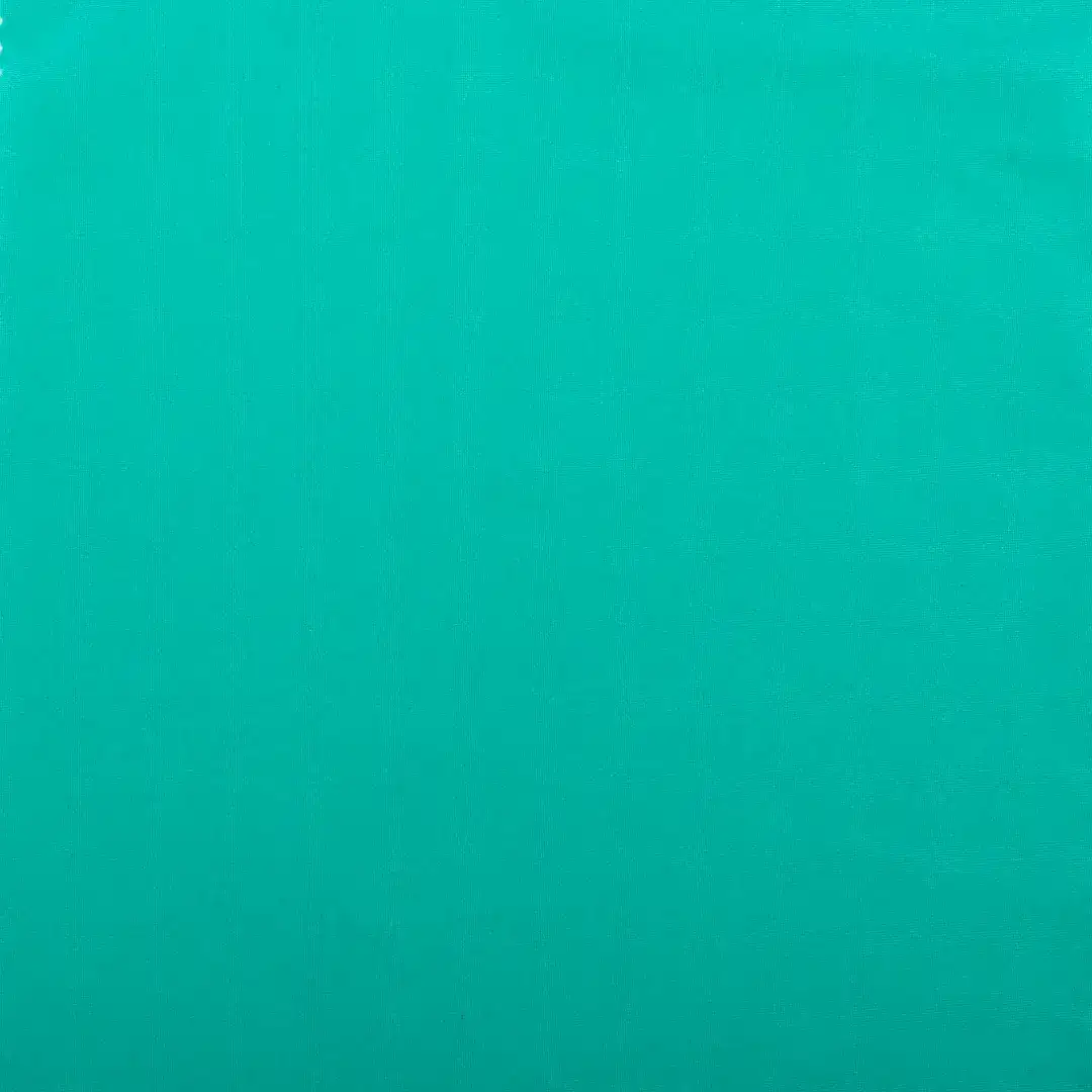China Fabric for Yoga Clothes,Sports Bras Single Jersey Knit Fabric Nylon Elastane green color buy from China wholesaler bulk order at wholesale price free worldwide shipping Alibaba