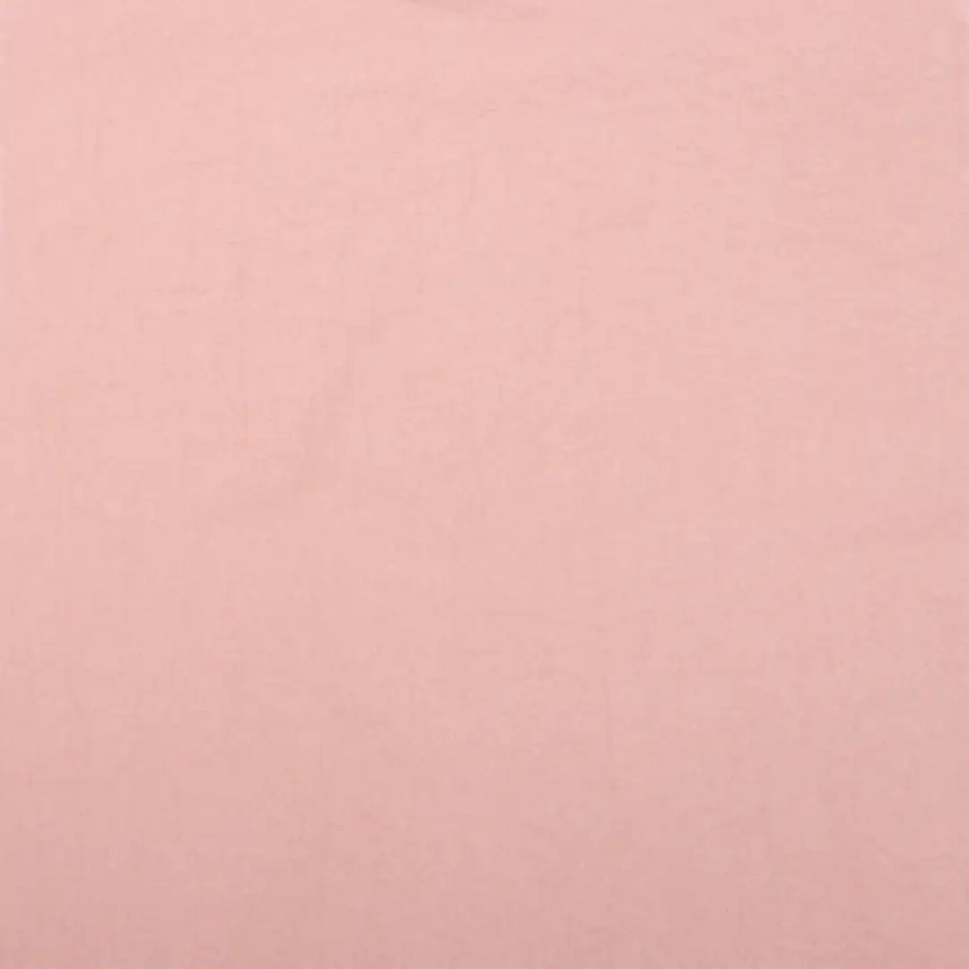 China Fabric for Jackets,Down Jacket,Padded Jacket,Tracksuits Nylon Taffeta Synthetic Woven Fabric Polyamide dirty pink color buy from China wholesaler bulk order at wholesale price free worldwide shipping Alibaba