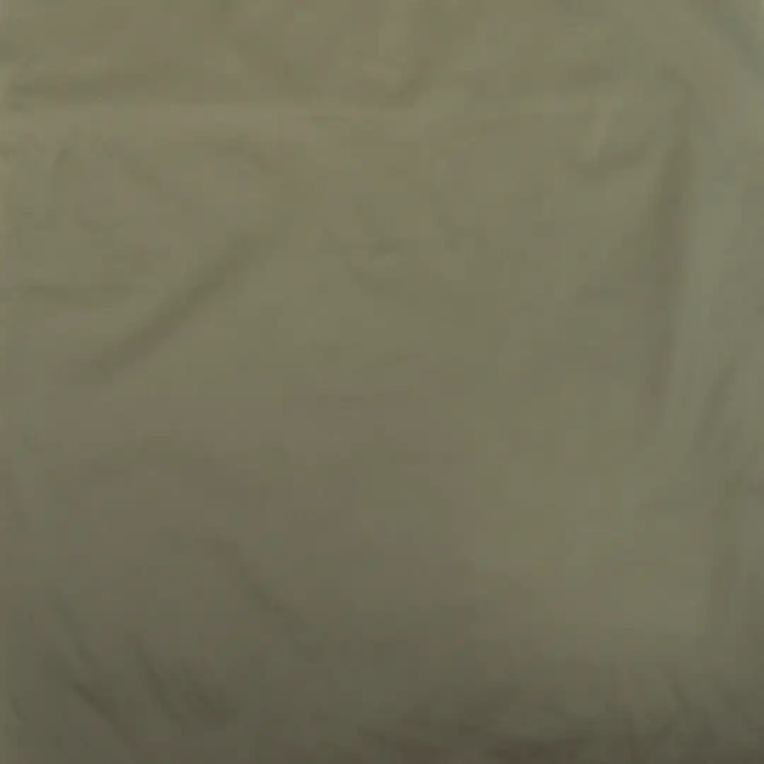 China Fabric for Pants,Jackets,Skirt,Hoodie,Trench Coat Nylon Taffeta Synthetic Woven Fabric Nylon Olive color buy from China wholesaler bulk order at wholesale price free worldwide shipping Alibaba