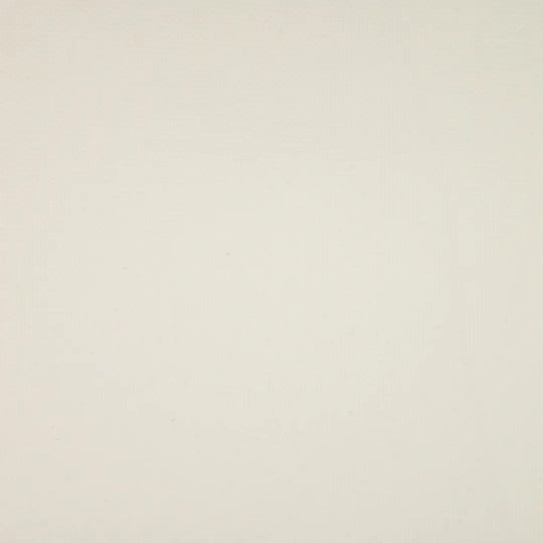 China Fabric for Blazer,Suit,Skirt  Polyester/Rayon Plain Woven Blended Fabric Polyester Rayon Nylon white color buy from China wholesaler bulk order at wholesale price free worldwide shipping Alibaba