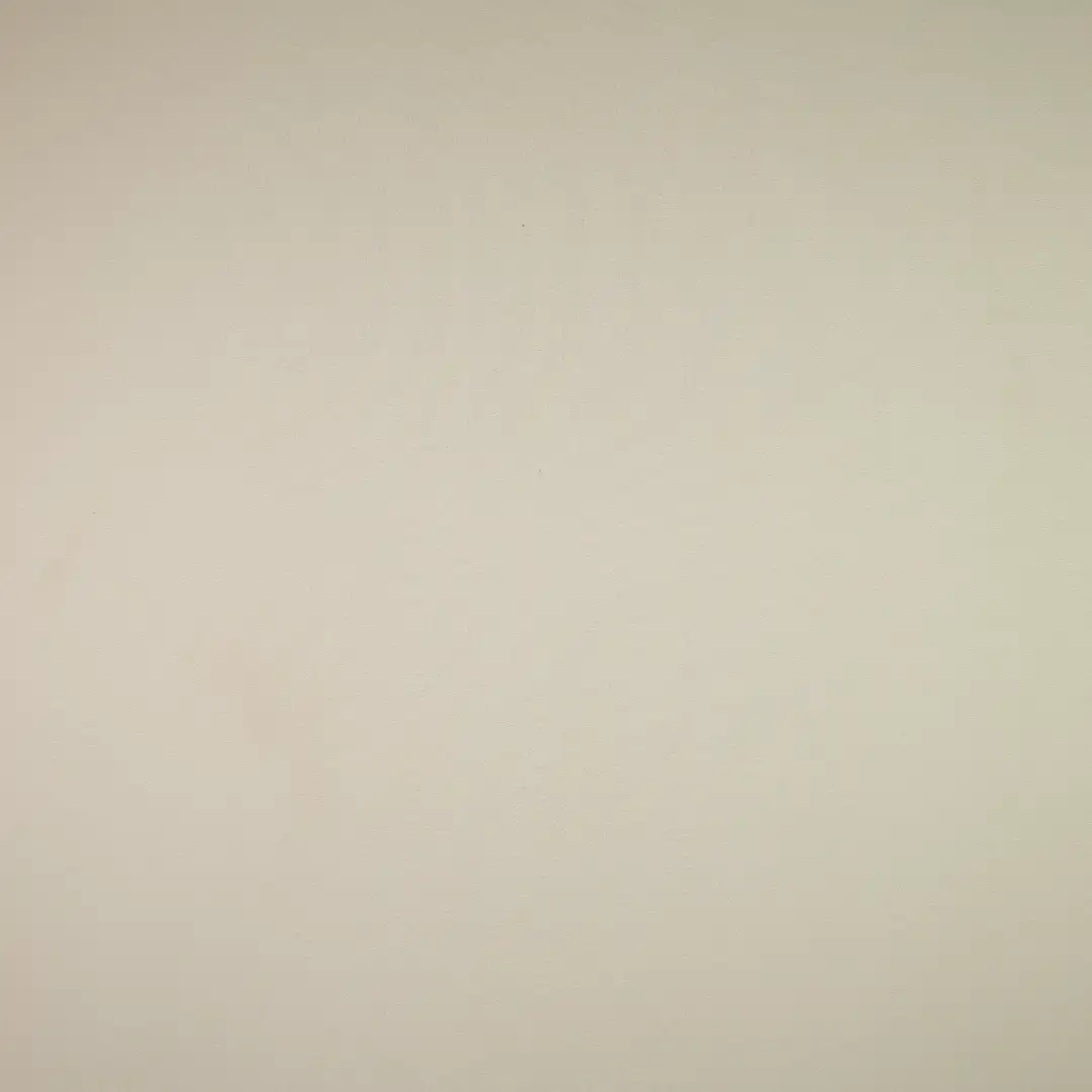 China Fabric for Shirt,Interlining Bengaline Synthetic Woven Fabric Polyester White color buy from China wholesaler bulk order at wholesale price free worldwide shipping Alibaba