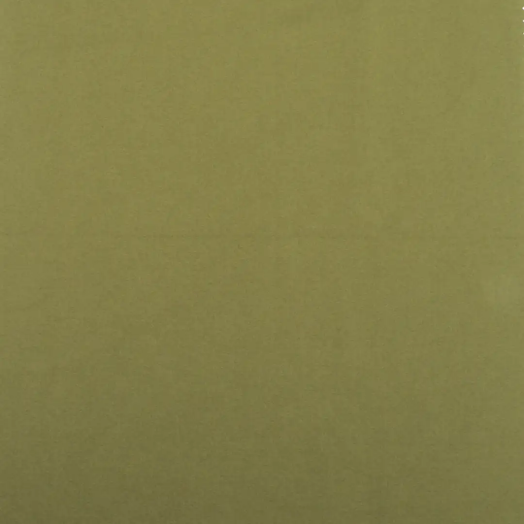 China Fabric for Jackets,Trench Coat,Down Jacket,Padded Jacket Nylon/Polyester Chameleon Woven Blended Fabric Polyester Polyamide GREEN color buy from China wholesaler bulk order at wholesale price free worldwide shipping Alibaba