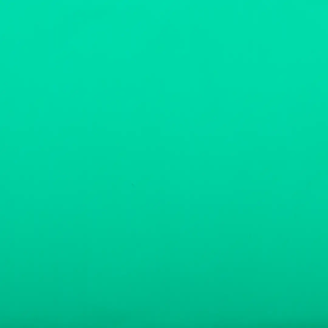 China Fabric for Down Jacket,Ski Suits,Tracksuits Nylon Taffeta Synthetic Woven Fabric Nylon green color buy from China wholesaler bulk order at wholesale price free worldwide shipping Alibaba