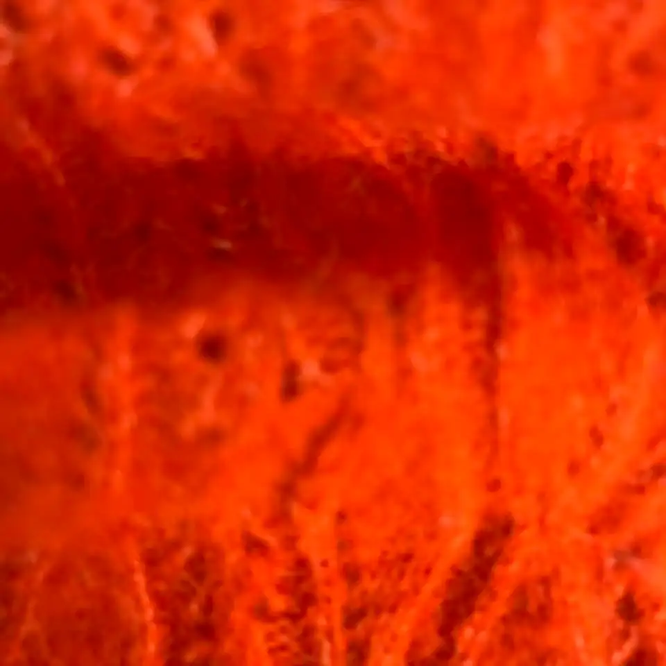 China Yarn for Half-Zipper Cardigan (Sweater),Polo T-shirt (Sweater),Cami Top (Sweater),U-Neck Cardigan (Sweater) Mossy Yarn Fancy Yarn Acrylic Nylon Wool Alpaca Elastane orange color buy from China wholesaler bulk order at wholesale price free worldwide shipping Alibaba