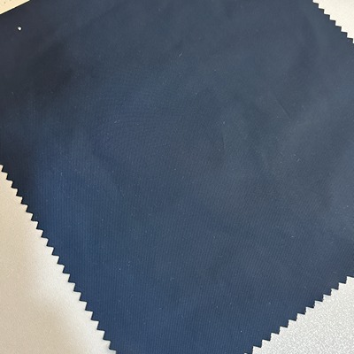 Polyester Taslon 100%Polyester 116 Blue