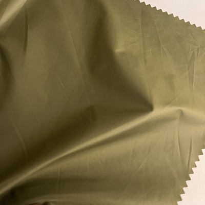 Polyester Taffeta 100%Polyester 54 Green