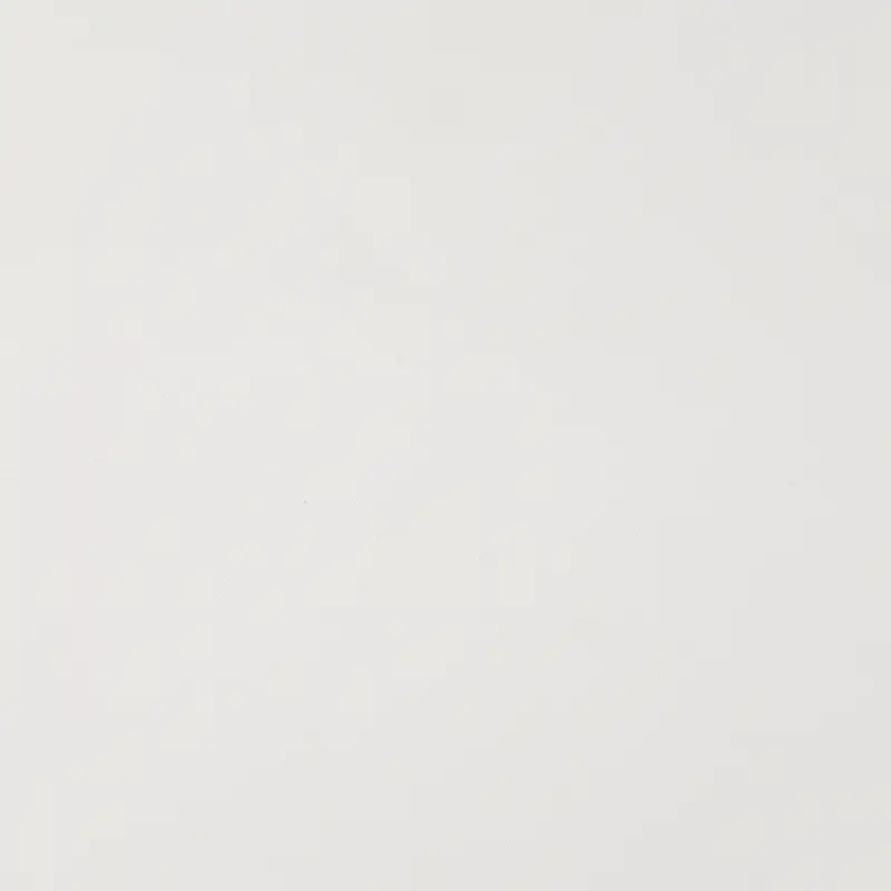 China Fabric for Down Jacket,Padded Jacket Polyester Taffeta Synthetic Woven Fabric Polyester Milky white color buy from China wholesaler bulk order at wholesale price free worldwide shipping Alibaba